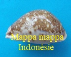 Mappa mappa Indonesie